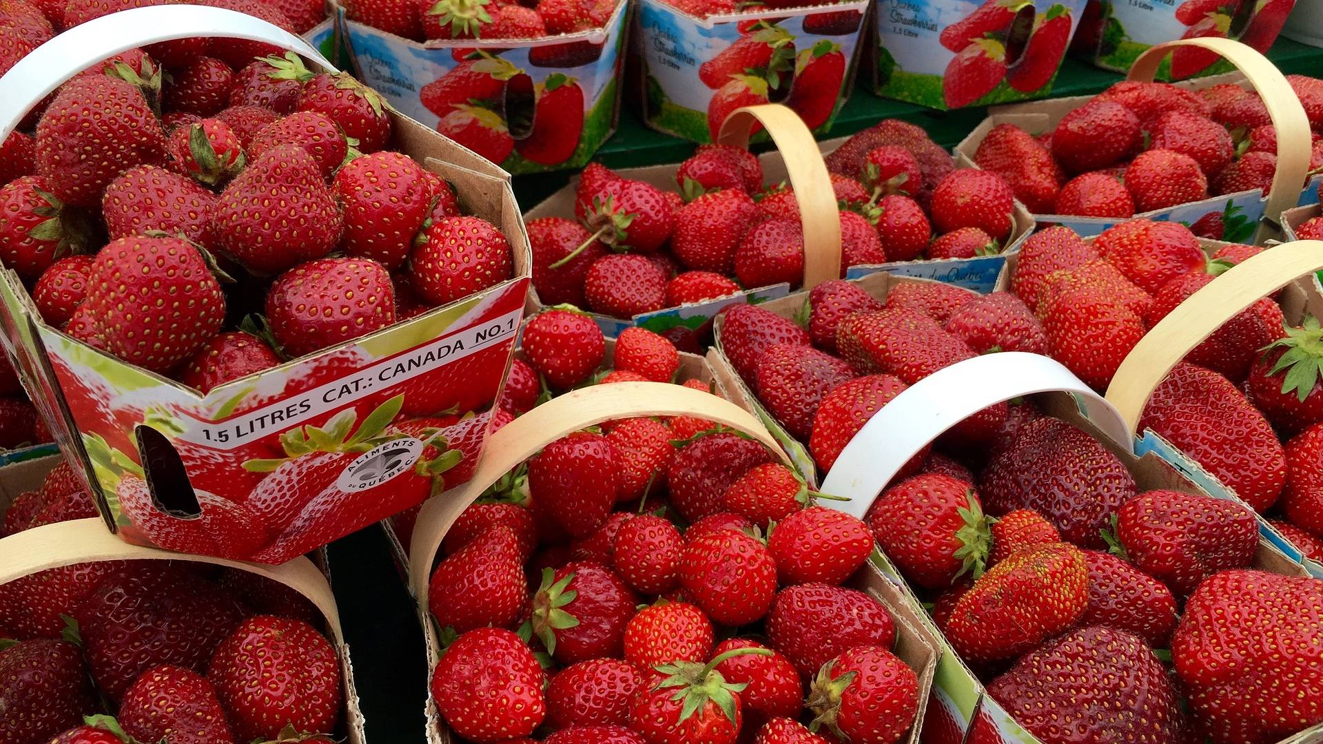 is-there-a-market-in-the-dordogne-on-sunday